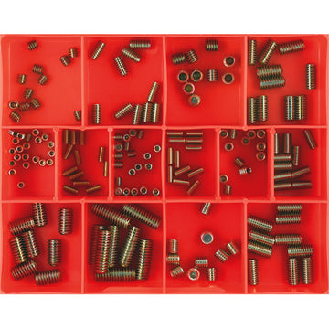 Champion 164-piece socket grub screw assortment in metric and BSW sizes