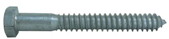 Coach Screws