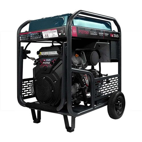 W&C 13.75 kVA (11,000W) Open Frame AVR Petrol Generator E-Start & RCD WC-P13750RCD | White International