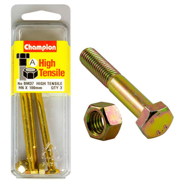 Champion M6 x 100mm Grade 8.8 zinc-plated bolt and nut