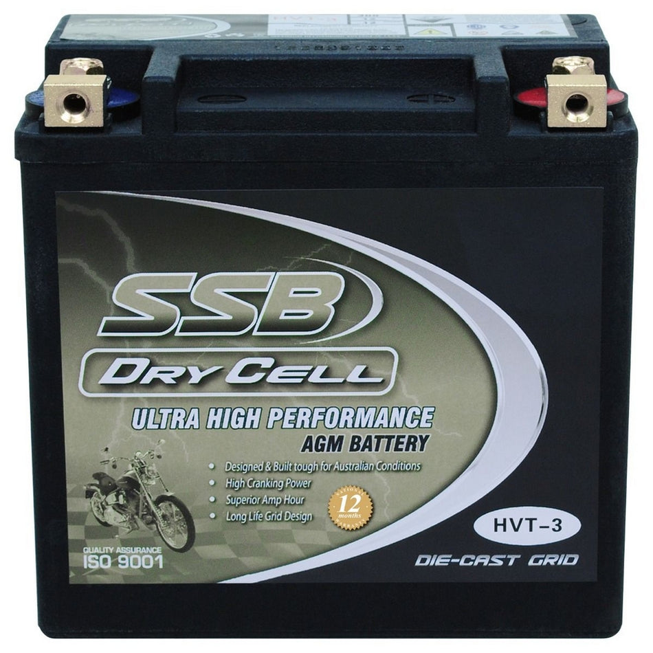 Motorcycle And Powersports Battery Agm 12v 12ah 300cca By Ssb Ultra High Performance  Dry Cell