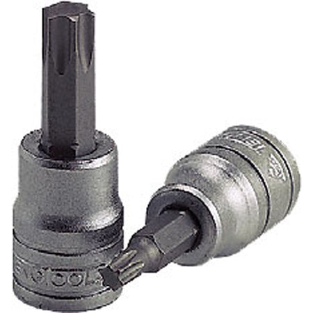 Teng 1/4in Dr. TX Bit Socket TX10 | ISL