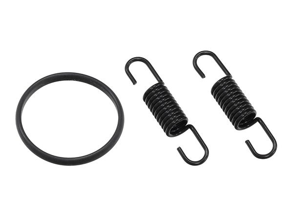 Exhaust Springs & O Ring Psychic Suzuki Rm125 97-14 | Formula