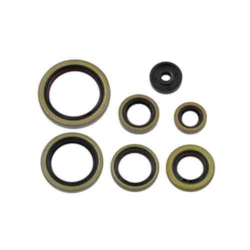 Engine Oil Seal Set Gas Gas Ec250 Ex300 21 Husqvarna Tc250 17-19 Te250 17-18 Te250 Tpi 18-19 | Formula