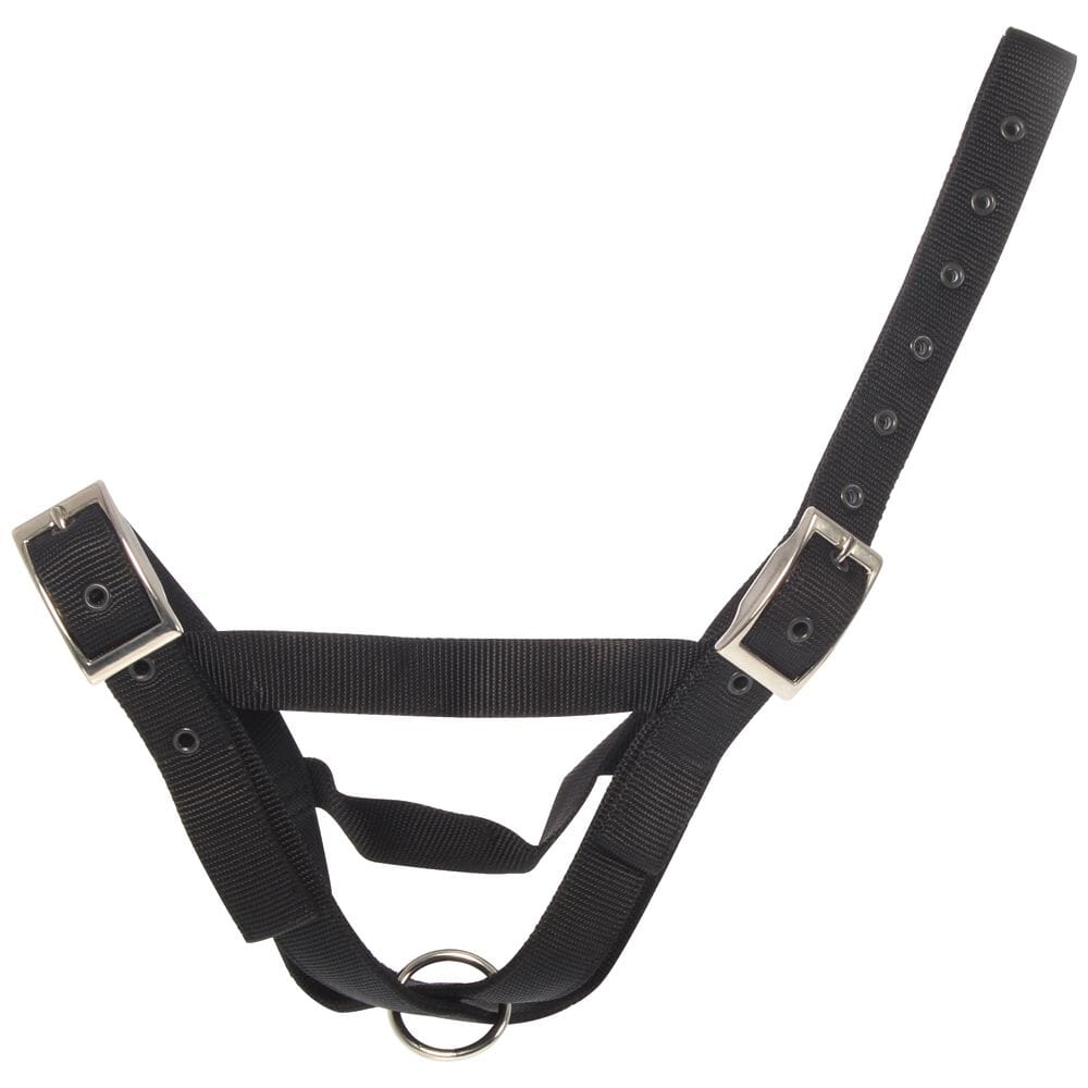 Taurus Nylon Cow Tethering Halter Black | Hobeca