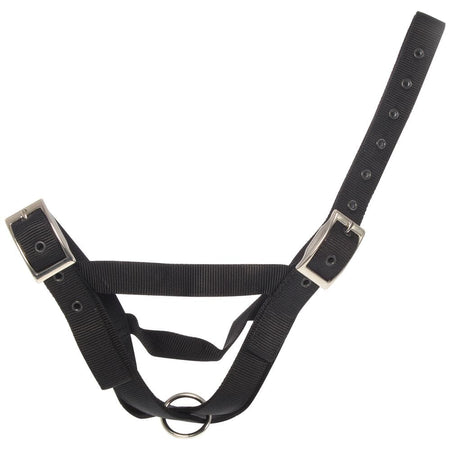 Taurus Nylon Cow Tethering Halter Black | Hobeca
