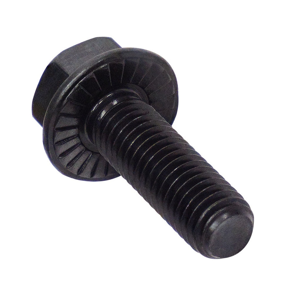 champion hex flanged header bolts m8x25mm 12pk