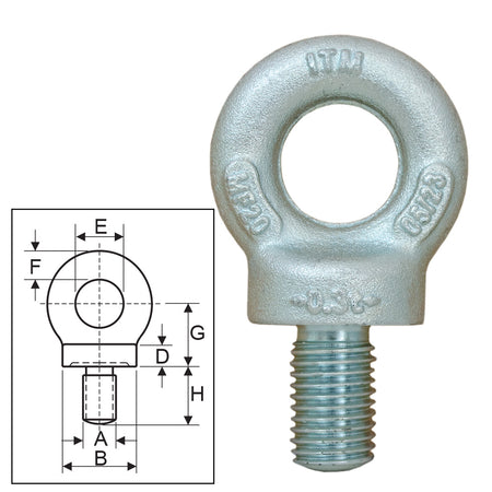 ITM Lifting Collared Eyebolt w/ Thread BS - ISL_TM9240-01080