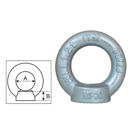 ITM Shouldered Eyenut w/ Metric Thread Din - ISL_TM9242-01080