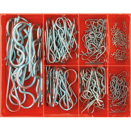Champion 124pc R-Clip Assortment (Zinc Plated) | ISL