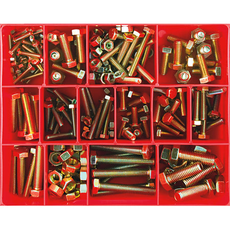 Champion 221pc Metric Set Screw & Nut Assortment | ISL