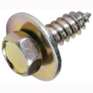 Champion 14G x 3/4in Hex Head Self Tapping Screw - 50pk | ISL