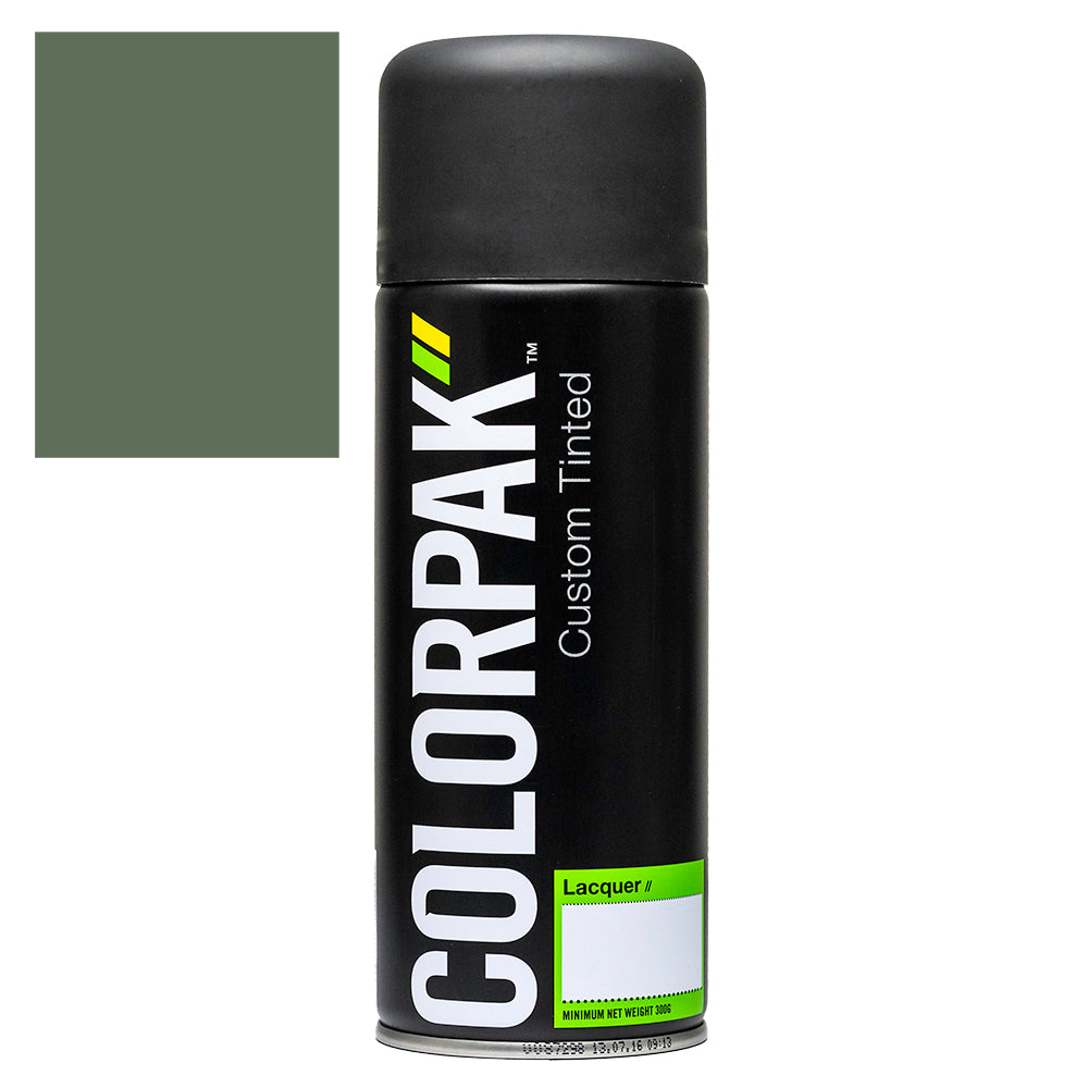 Colorpak Coloursteel Aerosol Spraypaint Rivergum | Formula