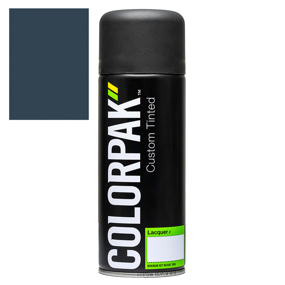 Colorpak Coloursteel Aerosol Spraypaint Windsor Grey | Formula