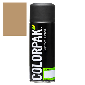 Colorpak Coloursteel Lichen aerosol spraypaint can