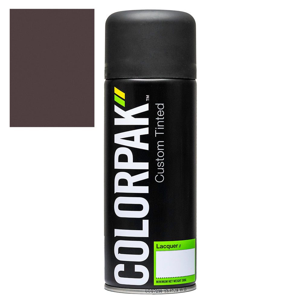 Colorpak Coloursteel Aerosol Spraypaint Slate | Formula