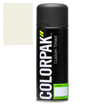 Colorpak Coloursteel Cloud aerosol spray paint can