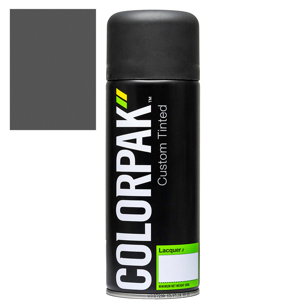 Colorpak Coloursteel Aerosol Spraypaint Thunder Grey | Formula