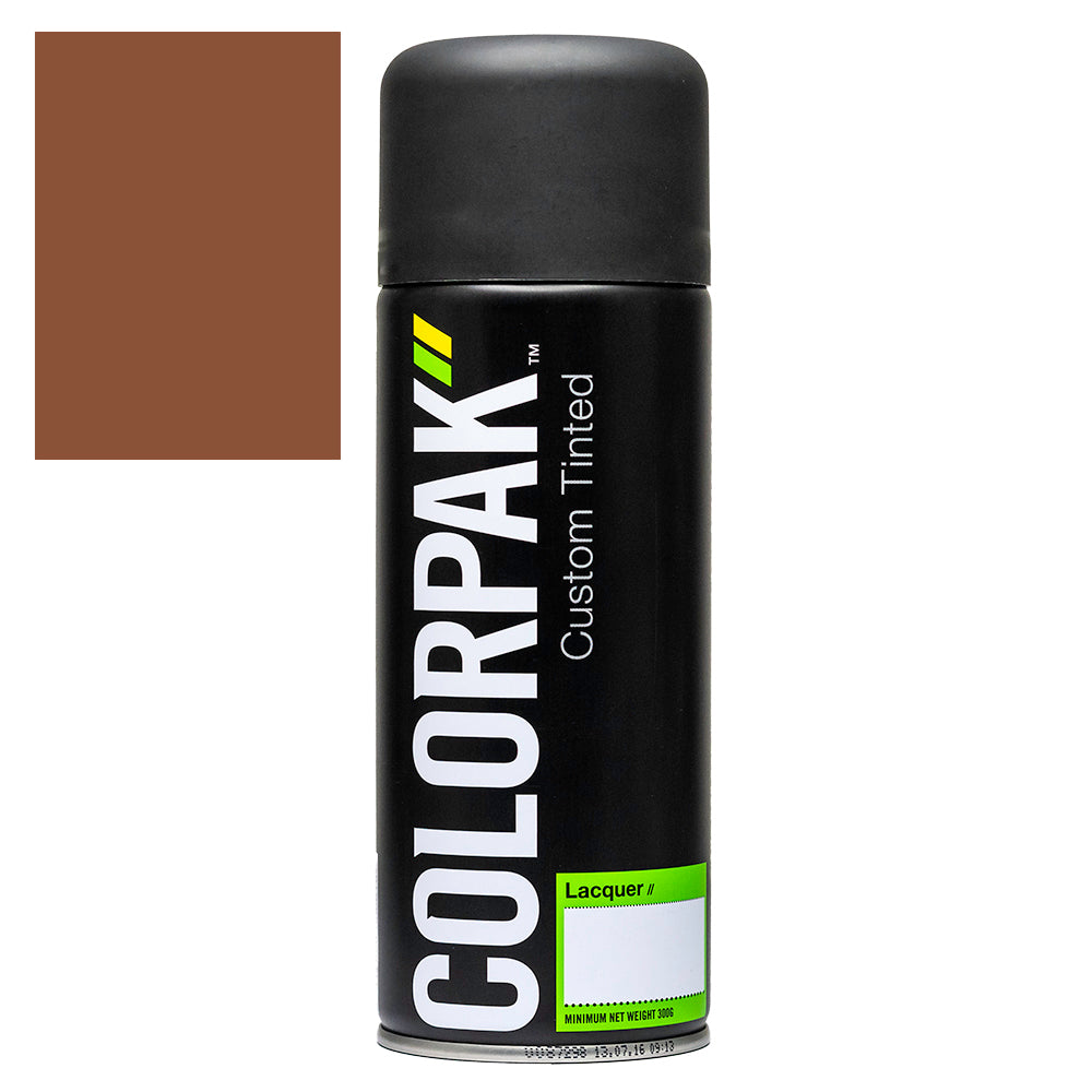 Colorpak Coloursteel Aerosol Spraypaint Terracotta | Formula