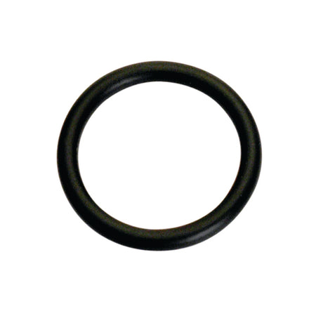 Champion 14mm (I.D.) x 2.5mm Metric O-Ring -10pk | ISL