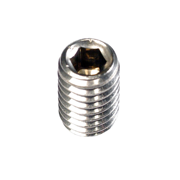 Champion 1/4in x 1/4in BSW Grub Screw 316/A4 -10pk