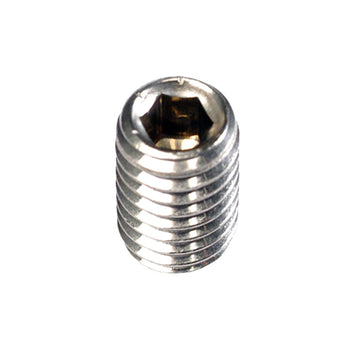 Champion 1/4in x 1/4in BSW socket grub screw, pack of 12
