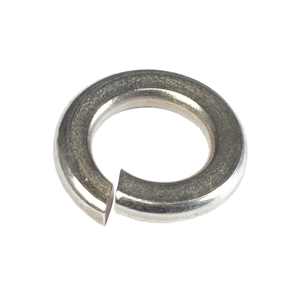Champion 1/4in Stainless Spring Washer 304/A2 -50pk | ISL
