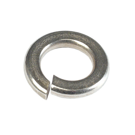 Champion 1/4in Stainless Spring Washer 304/A2 -50pk | ISL