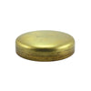 Champion 1-1/4in Brass Expansion (Frost) Plug -Cup Type -3pk