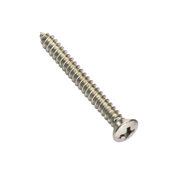 Champion 6G x 3/4in S/Tapping Screw Rsd HD Phillips - 100pk