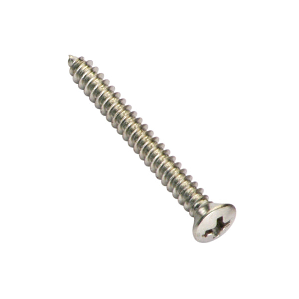 Champion 14G x 5/8in S/Tapping Screw Rsd Hd Phillips -25pk | ISL