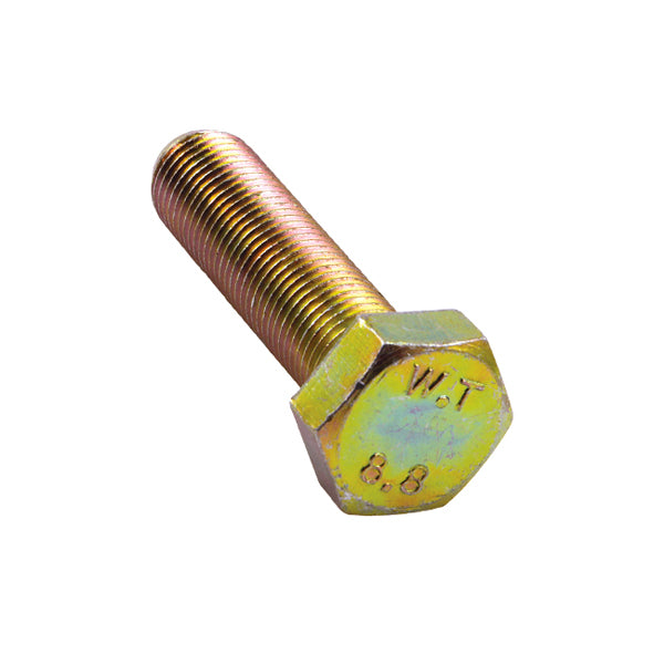 Champion M8 x 25mm x 1.25 Set Screw -Gr8.8 -12pk | ISL