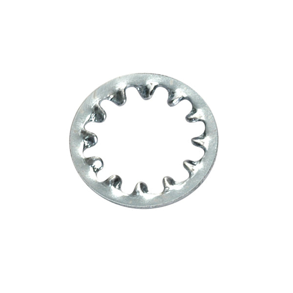 Champion 5/16in internal Star Washer -60pk | ISL