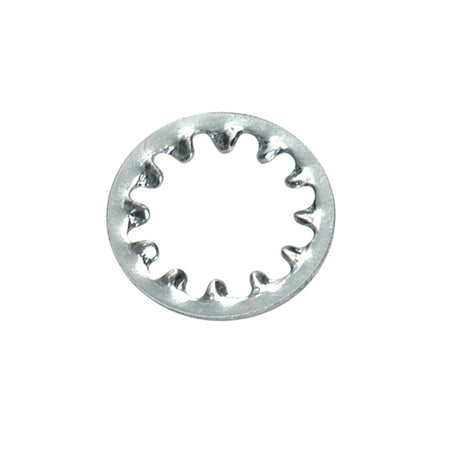 Champion 5/16in internal Star Washer -60pk | ISL