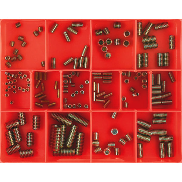 Champion 164pc Socket Grub Screw Assortment (mm GR8.8 & BSW)