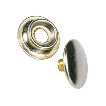Champion male button studs 50-pack CBP151