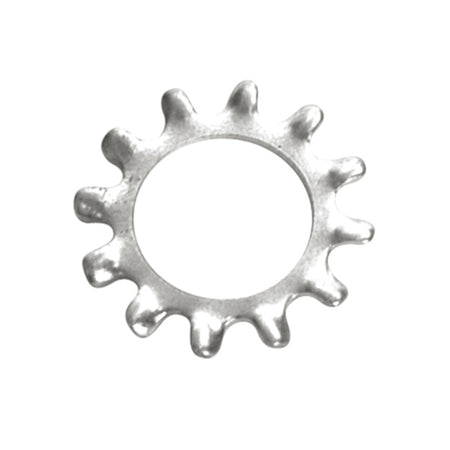 Champion 1/4in External Star Washer - 100pk | ISL
