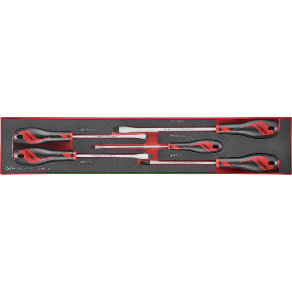 Teng 5pc MD Screwdriver Set - TEX-Tray | ISL