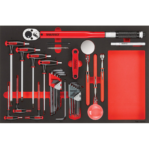 Teng 17pc Torque Wrench Hex/TX & insp Tool Set (EVA)