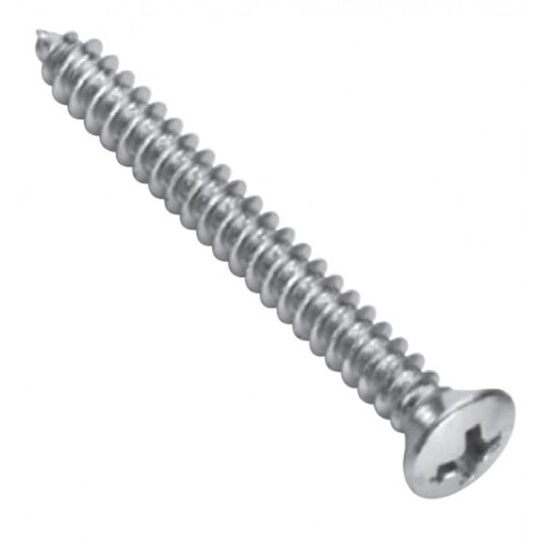 Champion 4G x 3/4in S/Tapping Screw -Rsd -Ph -316/A4 -30pk