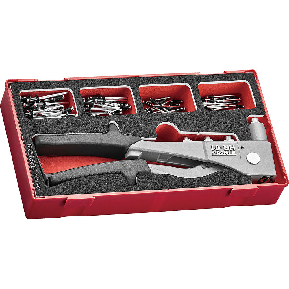Teng 81pc Rivet Gun Set - TEA-Tray | ISL