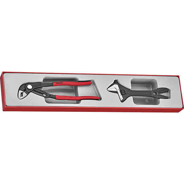 Teng 2pc Plier/Adjustable Wrench Set - TTX-Tray | ISL